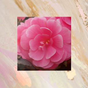 Pink Tuberous Begonia Floral Tegeltje