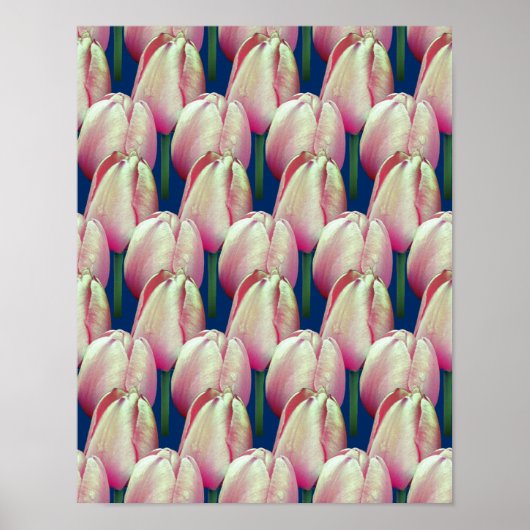 Pink Tulip Flowers Patroon Poster (Voorkant)