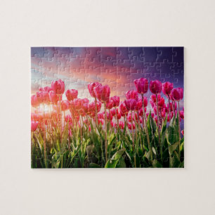 Pink Tulip Flowers Sunset Natuur Nederland Legpuzzel