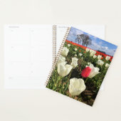 Pink tulip Standing Out, Oregon (Devant avec enveloppe)