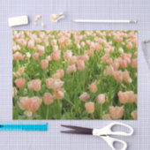Pink Tulips in Spring Tissue Paper Tissuepapier (Craft)