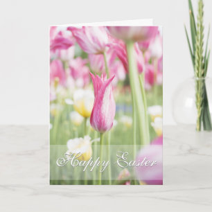 Pink Tulips Printemps Saison Pâques Carte de voeux