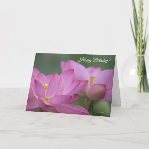 Pink Water Lilies Carte d'anniversaire