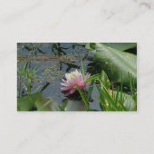 Pink Water Lily Carte de visite (Dos)