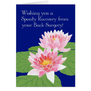 Pink Water Lys on Blue Get Well Back Chirurgie