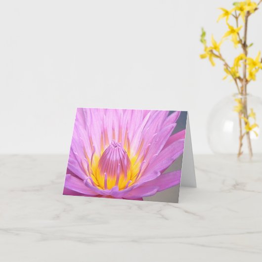 Pink Waterlily Notecard Kaart (Gele Bloem)