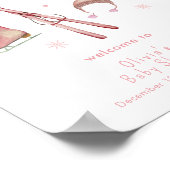 Pink Winter Après Bébé Ski Baby Shower Welcome Poster (Hoek)