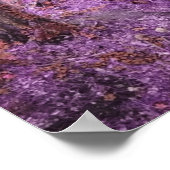 Pink Wonderland Poster (Hoek)