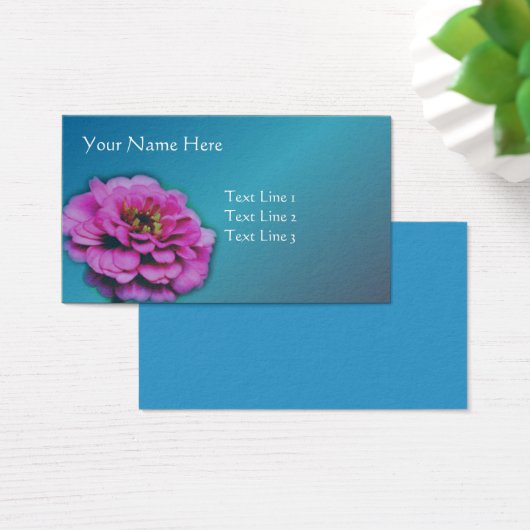 Pink Zinnia (Bureau)