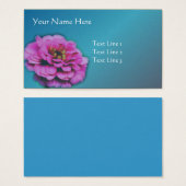 Pink Zinnia (Devant & derrière)