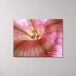 Pinkflower Canvas Afdruk
