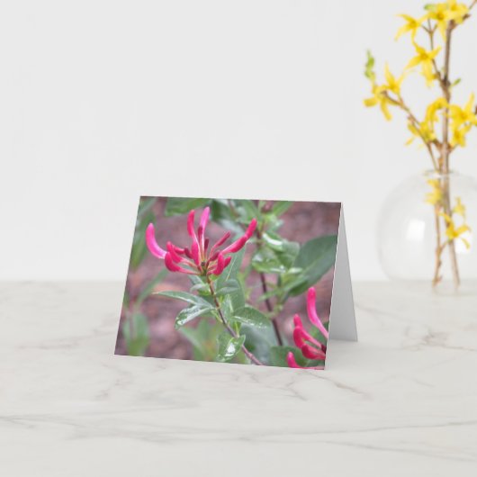 pinkflower de carte pour notes (Fleur jaune)