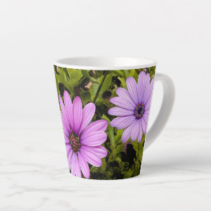 PINKISH-LAVENDER DAISIES LATTE MOK
