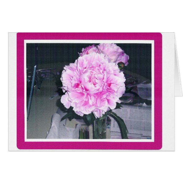 PINKISH PEONY (Voorkant Horizontaal)