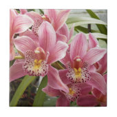 Pinkse orchideeën bloemen tegeltje (Voorkant)