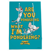 Pinky en Brain | Denk je na? Medium Cadeauzakje (Achterkant)