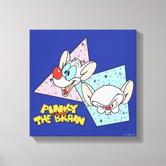 Pinky en Brain | Retro-tekenafbeeldingen Canvas Afdruk (Voorkant)