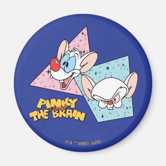 Pinky en Brain | Retro-tekenafbeeldingen Magneet (Voorkant)