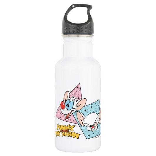 Pinky en Brain | Retro-tekenafbeeldingen Waterfles (Voorkant)
