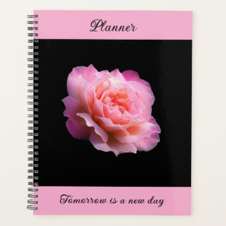 Pinky Roos - planner
