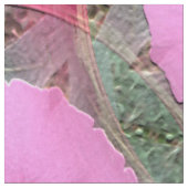 Pinky.... Stof (Close Up)