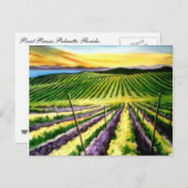 Pinot Briefkaart Wine Land (Voorkant / Achterkant)