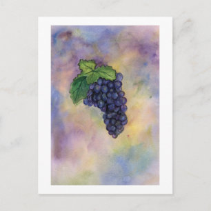 Pinot Noir Wine Grapes Briefkaart