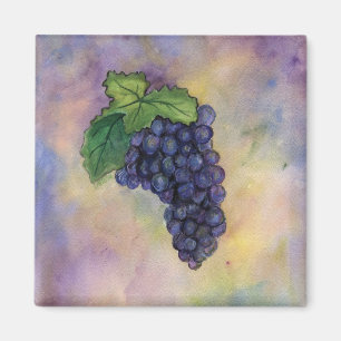 Pinot Noir Wine Grapes Magnet Magneet