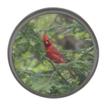 Cardinal