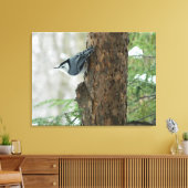 Pins d'hiver - toile Nuthatch à poitrine blanche I (Insitu(Salon))