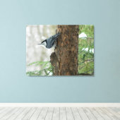 Pins d'hiver - toile Nuthatch à poitrine blanche I (Insitu (Plancher de Bois))