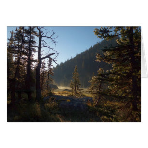 Pins gelés éclairés au soleil au lac Dream