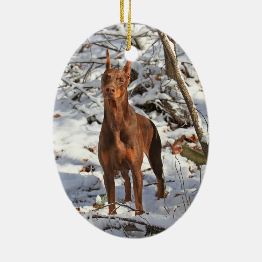 Pinscher de dobermann en ornement de neige (Dos)