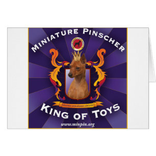 Pinscher miniature : Roi des jouets