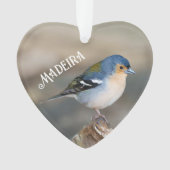 Pinson de Madère (Fringilla maderensis) (devant)