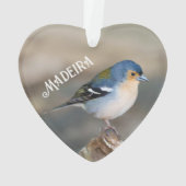 Pinson de Madère (Fringilla maderensis) (dos)
