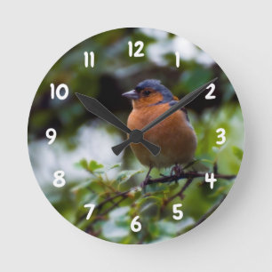 Pinson sur une branche Horloge murale en acrylique