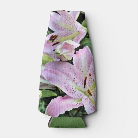 Pint Aziatische lamplelies Flesjeskoeler (Voorkant)