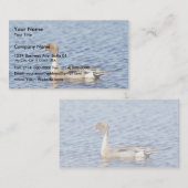 Pintail Duck Drake Visitekaartje (Voorkant / Achterkant)