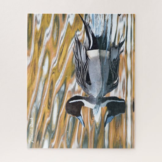Pintail Duck Jigsaw Puzzle (Vertical)