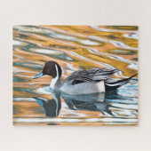 Pintail Duck Jigsaw Puzzle (Horizontal)