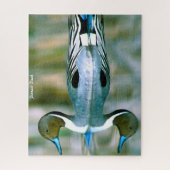 Pintail Duck Jigsaw Puzzle (Vertical)
