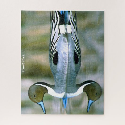 Pintail Duck Jigsaw Puzzle (Vertical)