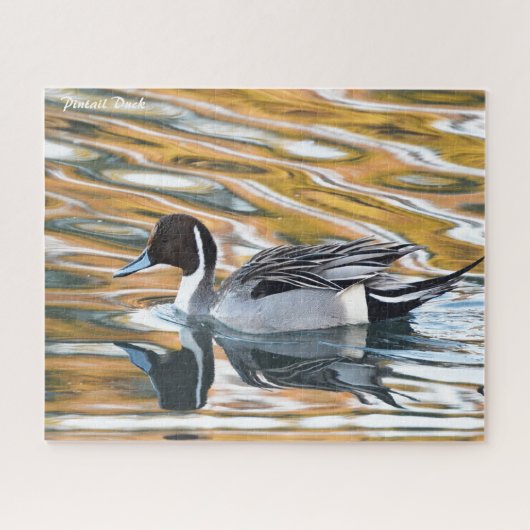 Pintail Duck Legpuzzel (Horizontaal)