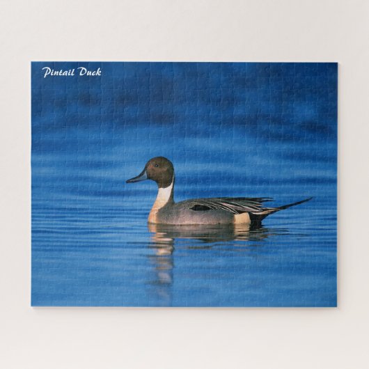 Pintail Duck Legpuzzel (Horizontaal)