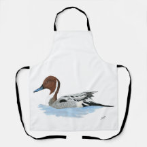 Pintail Duck