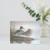 Pintail Ducks Briefkaart (Staand voorkant)