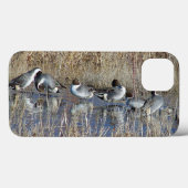 Pintail Ducks iPhone 6 Coque (Verso (horizontal))