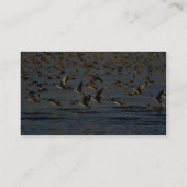 Pintails Visitekaartje (Achterkant)