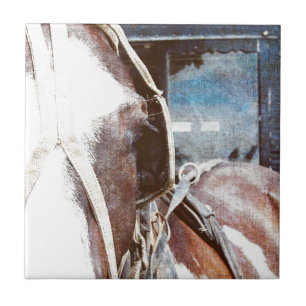 Pinto Amish Buggy Horse Tegeltje